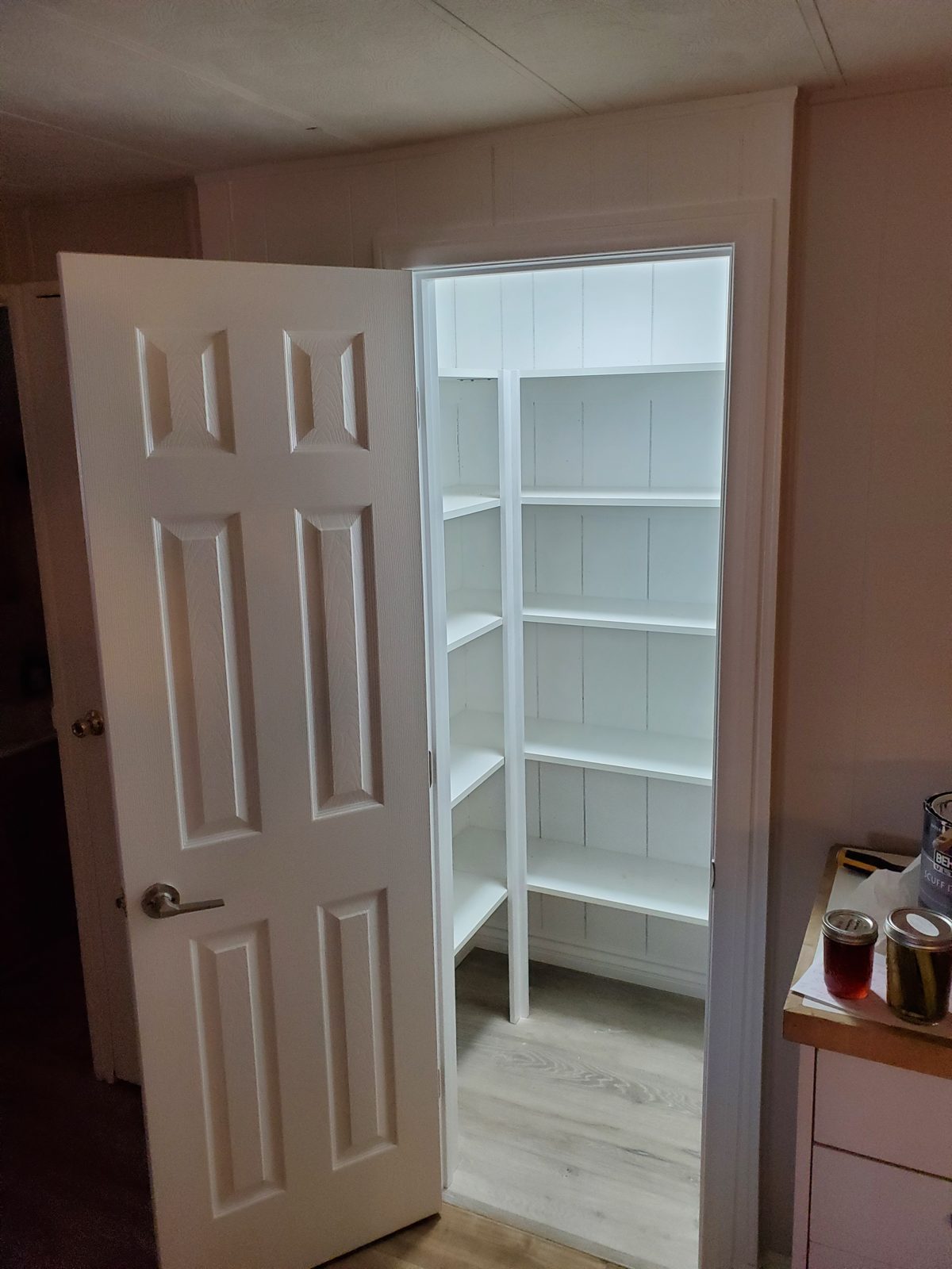 Custom kitchen pantry with shelving